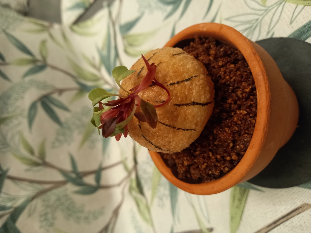 Foto 7